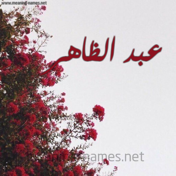 شكل 18 صوره الورد الأحمر للإسم بخط رقعة صورة اسم عبد الظاهر ABD-ALZAHR